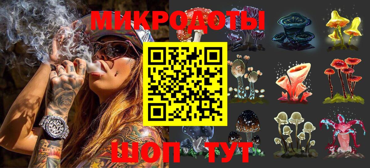 Псилоцибиновые грибы Cubensis Амурск
