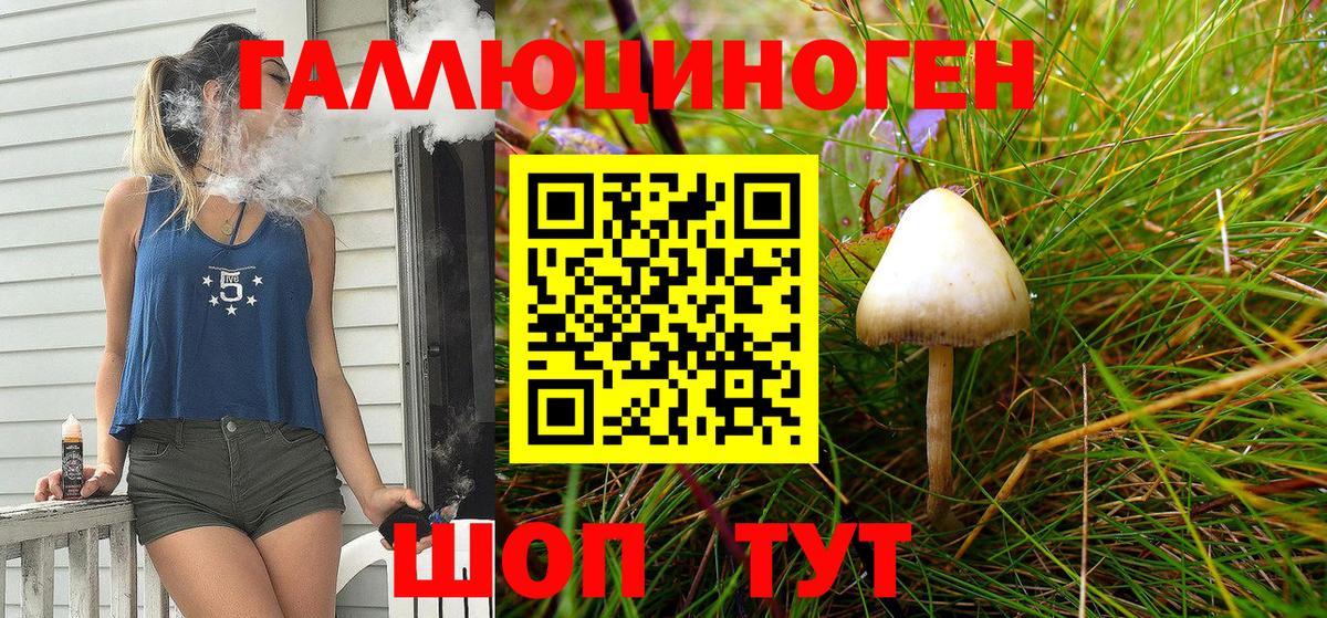 Амурск  Псилоцибиновые грибы GOLDEN TEACHER  Псилоцибиновые грибы MAGIC MUSHROOMS  Вход с VPN 